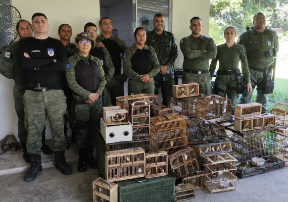 Operação Pássaro Livre apreende 112 aves silvestres na Feirinha do Tabuleiro