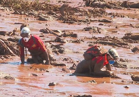 Sobe para 99 o número de mortos e há 259 desaparecidos em Brumadinho