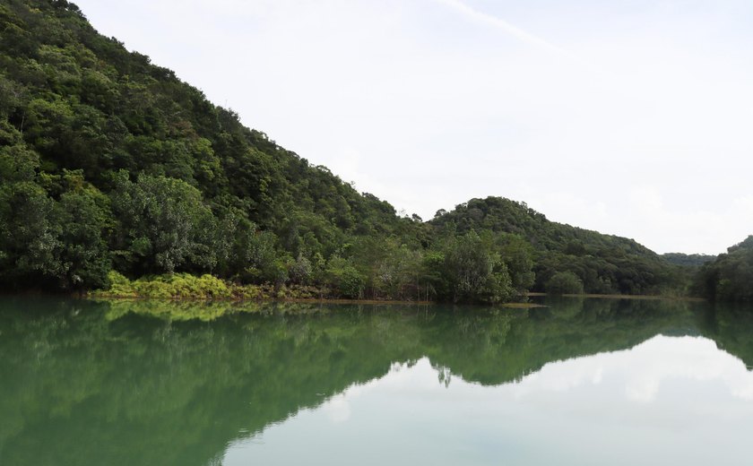 Dia Mundial da Água em Alagoas terá semana de palestras e ações com estudantes