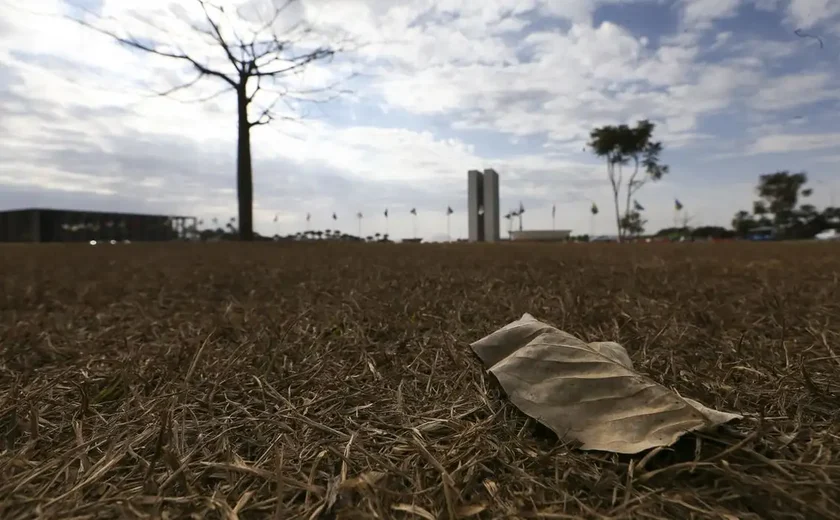 Região Sul tem risco de temporal e granizo; outras regiões têm calor