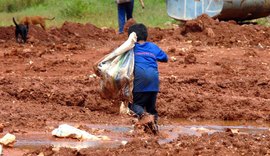 Brasil tem bons indicadores, mas ainda é foco de exploração infantil