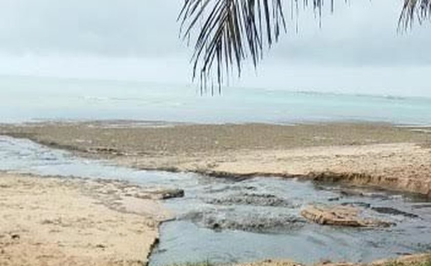 IMA notifica Prefeitura de Maceió e Casal por causa de línguas sujas em praias
