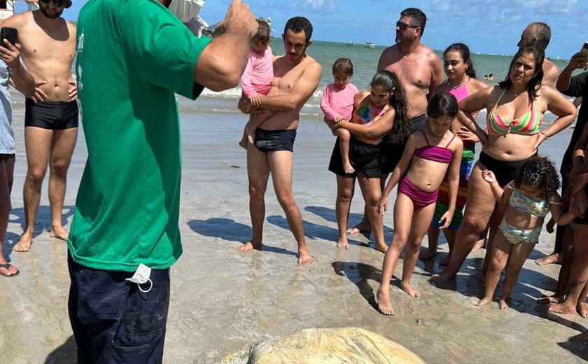 Tartaruga-verde é encontrada morta enganchada em rede de pesca na Ponta Verde