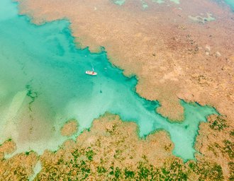 Projeto Corais de Alagoas chega a 500 corais em cultivo no mar do estado