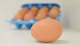 Vigilância Sanitária Estadual dá dicas para o consumo de ovos