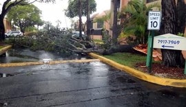 Miami registra neste sábado primeiras chuvas associadas ao Furacão Irma