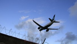 Alagoas soma 22 colisões de pássaros com aviões