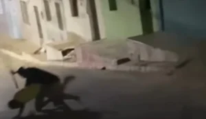 Confronto: irmãos são flagrados aos socos e um deles armado com foice brigando no meio da rua