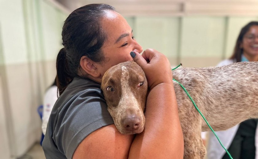 Animais cadastrados no Meu Amigo Pet passam por coleta de sangue para castração