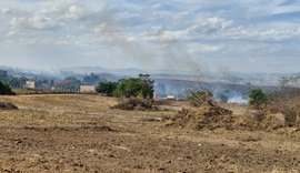 Incêndio destrói área de mata em Arapiraca