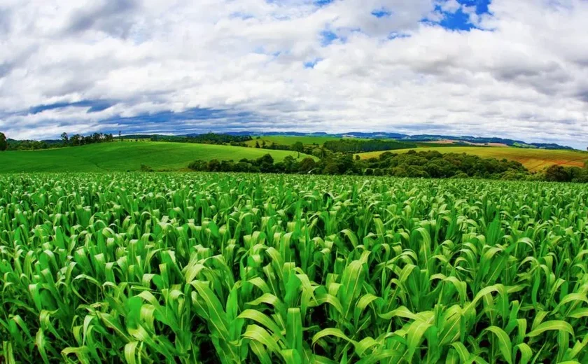Cooperativas do Paraná entram em mercado bilionário com bioinsumos