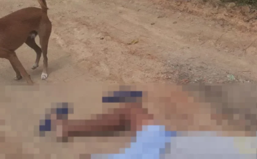 Comerciante é assassinado a tiros em estrada vicinal na zona rural de Viçosa