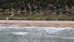 Órgãos ambientais seguem monitorando situação na foz do rio São Francisco