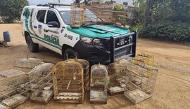 Operação Onda Verde da PM apreende aves silvestres e arma de fogo no interior