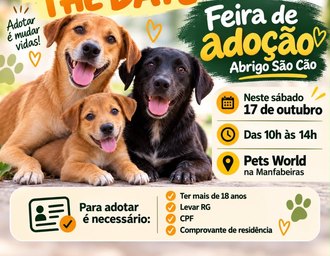 Abrigo São Cão promove feira de adoção neste sábado