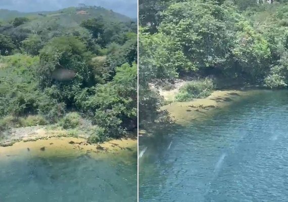 Homem desaparece no Rio São Francisco e equipes são mobilizadas