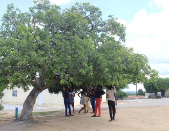 Decreto federal assegura território ao quilombo Cajá dos Negros em Batalha