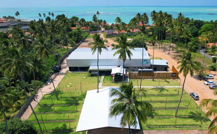 Maceió tem 1º lupulal à beira-mar do país