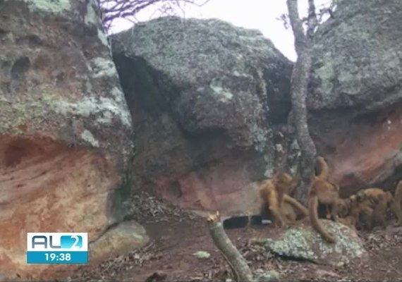 Cepram tem denúncias sobre extração ilegal de areia e ameaça à Serra do Parafuso