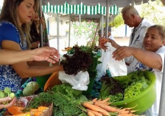 Produtos orgânicos voltam a ser comercializados na Semarh em 7 de março