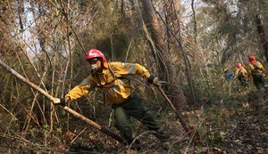 Chuvas ajudam a apagar queimadas na Bolívia após perda de mais de 4 milhões de hectares