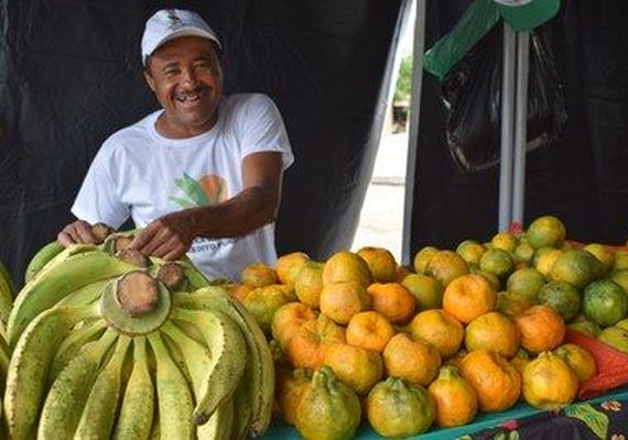 Feira Agrária do Crédito Fundiário exalta produção agrícola quilombola