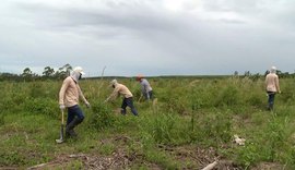 Cooperativa quilombola no Norte do ES é referência no Brasil