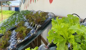 Sedics inaugura hortas hidropônicas automatizadas em escolas públicas