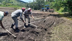 Plantio de milho no Dia de São José é registrado em reportagem especial