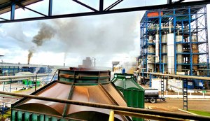 Cooperativa Pindorama projeta 2026 com foco em desenvolvimento coletivo