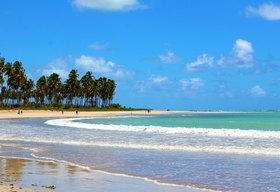 MPF firma TAC para coibir festas irregulares nas piscinas naturais da Costa dos Corais, em Passo de Camaragibe