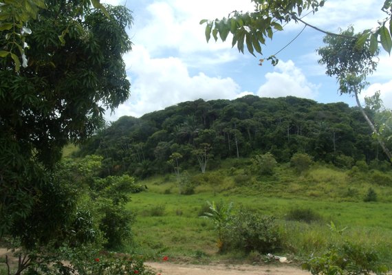 Incra já está liberando consulta e emissão de Certificado de Cadastro de Imóvel Rural