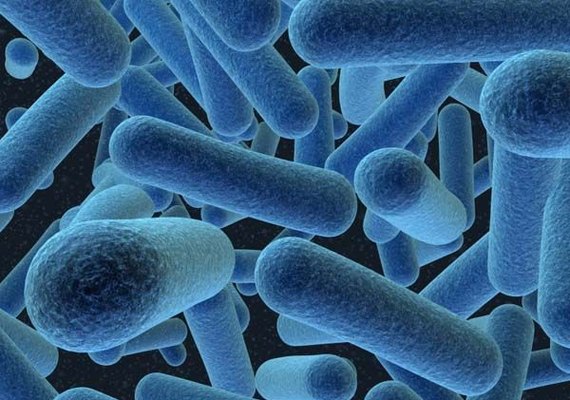 Vírus que provocou surto de gripe nos EUA também circula no Brasil