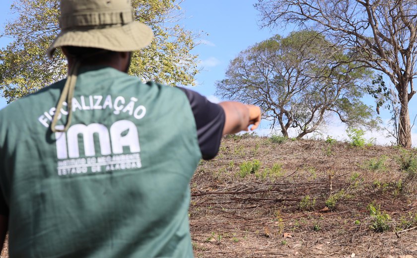 FPI embarga ﻿áreas desmatadas que equivalem a 419 campos de futebol