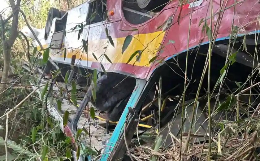 Vídeo: ônibus escolar cai em trecho da Serra da Barriga, em União dos Palmares; 23 pessoas morrem