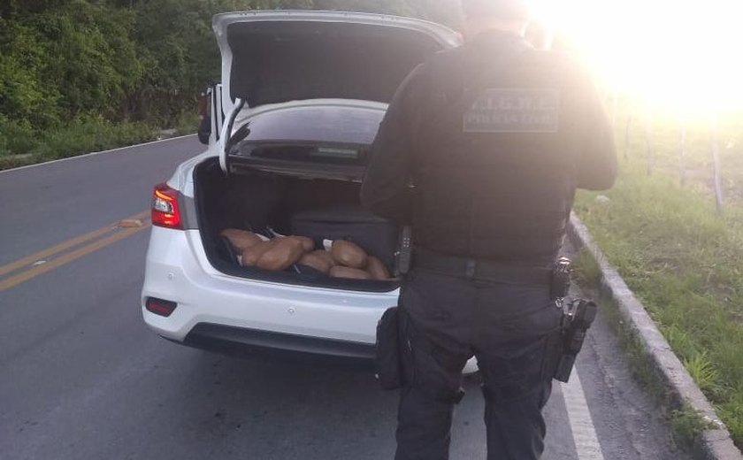 Polícia Civil prende casal e apreende 15 quilos de maconha em Atalaia