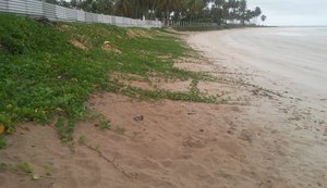 A importância da engorda natural como solução para muitas praias alagoanas