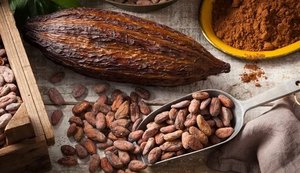 Chocolate amargo: um aliado do coração