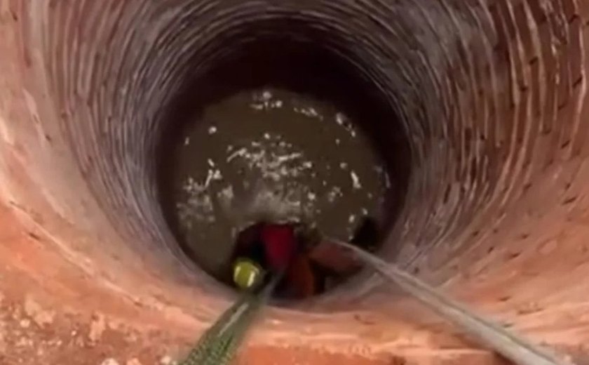 Bezerro é resgatado após cair em poço de 15 metros de profundidade em Feira Grande