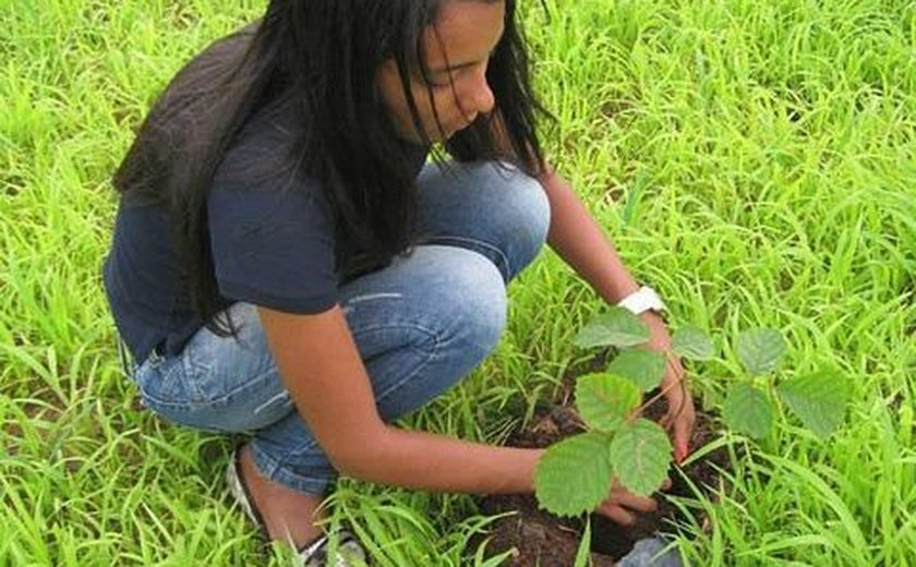Ação de reflorestamento ontabiliza mais de 30 mil mudas semeadas em Alagoas