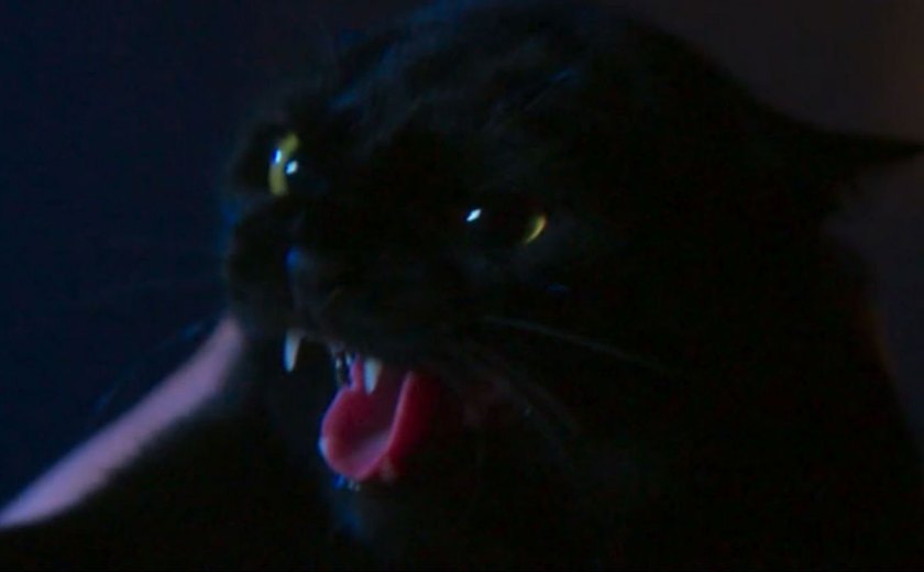 'O Sétimo Guardião': Gato León é assassinado, choca a todos e ressuscita