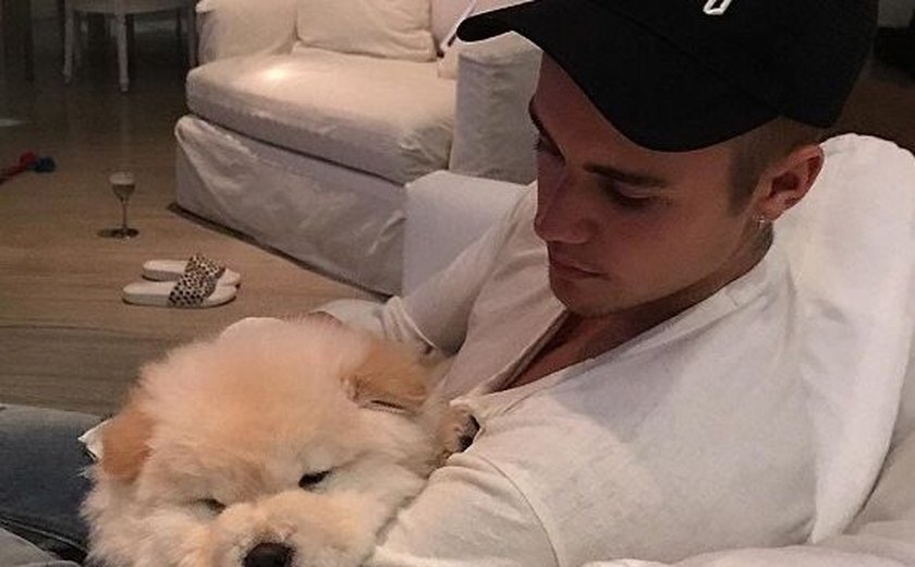 Bieber abandona cão doente e dançarino adota pet que precisa de cirurgia de R$ 25 mil