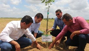 Secretaria entrega mudas e anuncia perfuração de poços artesianos em Limoeiro de Anadia