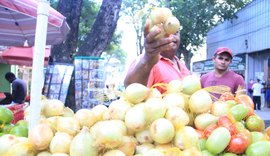 Preço da cebola dispara em feiras livres e supermercados