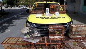 Após abordagem no terminal do Vergel, BPTran detém suspeito de crime ambiental