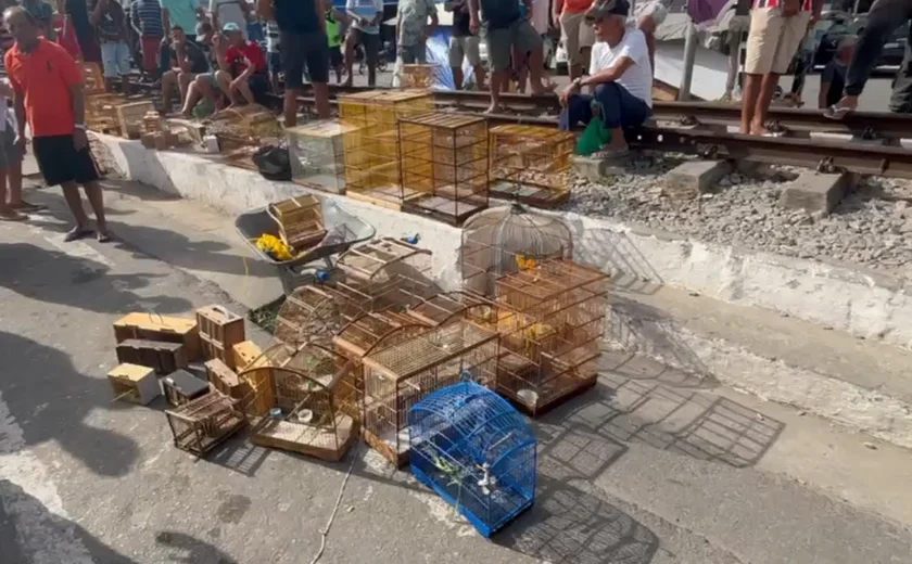 Operação apreende 60 animais silvestres vendidos ilegalmente em feiras de Maceió e Rio Largo