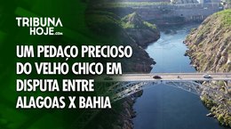 Um pedaço precioso do Velho Chico em disputa entre Alagoas x Bahia