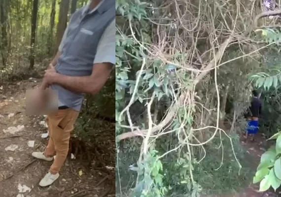 Bosque do Trabalhador em Curitiba registra uso inadequado  e vira ''motel a céu aberto''