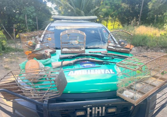 Polícia Militar apreende aves silvestres, armas e armadilhas de caça em Porto de Pedras