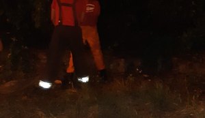 Mais um incêndio volta a acontecer na mata da Ladeira de Fernão Velho